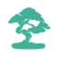 Sensei icon