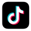 TikTok Ads icon